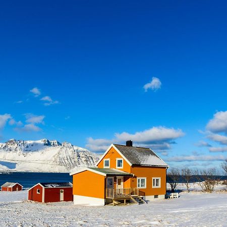 Lillevik Lofoten Gimsoy エクステリア 写真